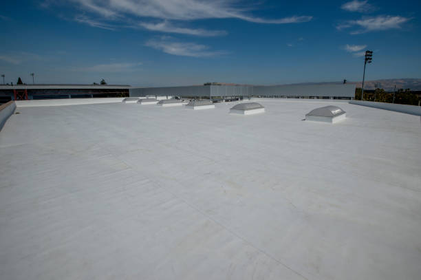 Best Roof Maintenance and Cleaning  in Luckey, OH