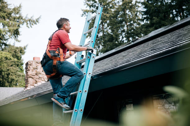Best Roof Replacement  in Luckey, OH
