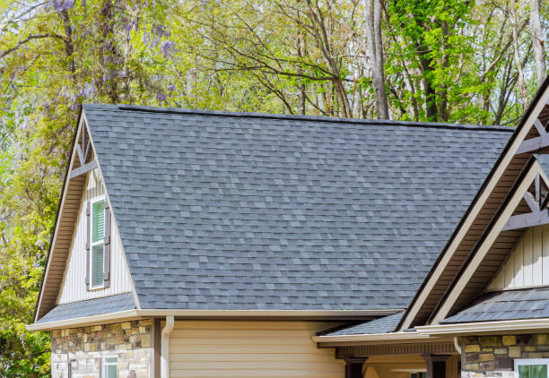 Best Gutter Installation and Repair  in Luckey, OH